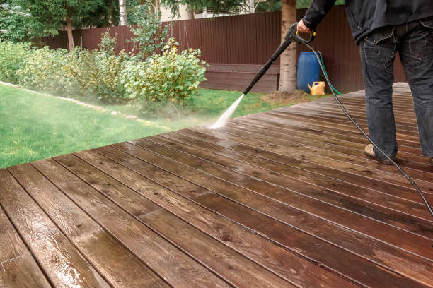 Best Pre-Holiday Cleaning  in Ellijay, GA