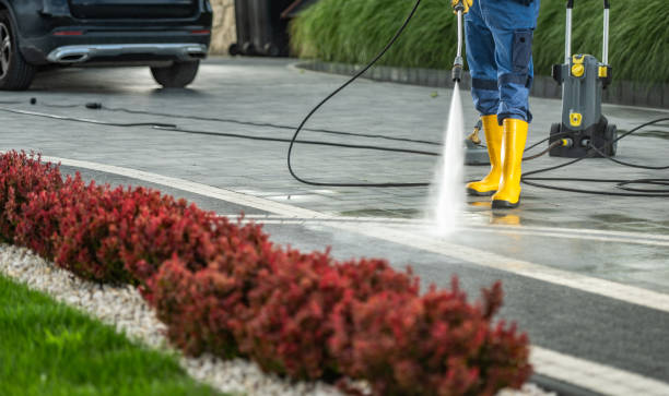 Trusted Ellijay, GA Pressure Washing Experts