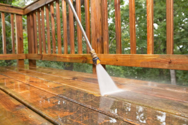 Best House Exterior Washing  in Ellijay, GA